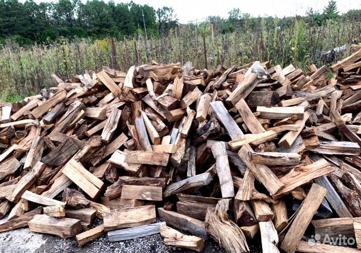 Дрова с Приморска