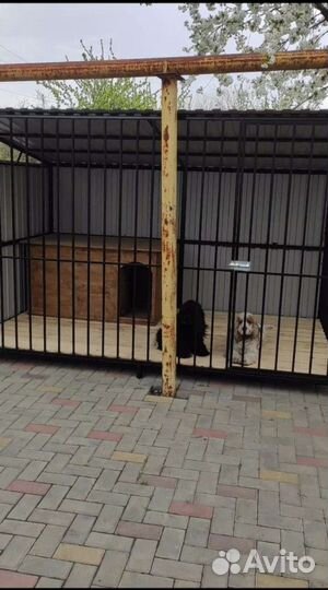 Вольер и будка для собаки
