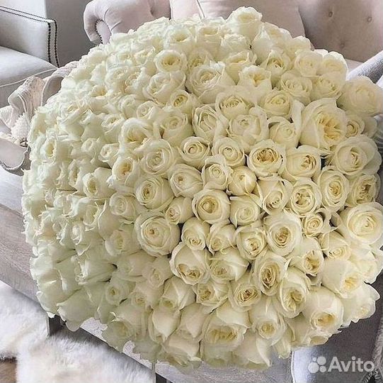 101 Роза Цветы Букеты 51 25 Роз Доставка