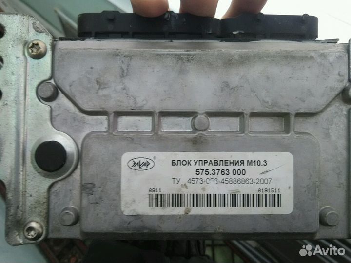 Эбу на газель