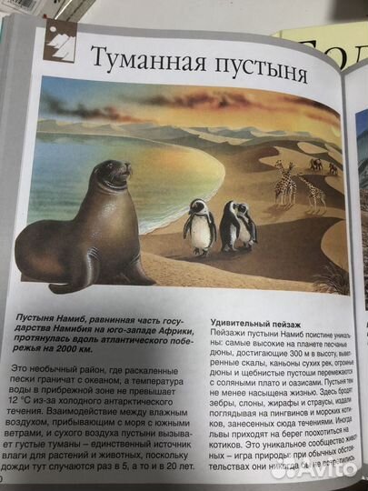 Тайны природы детская энциклопедия