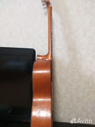 Акустическая гитара cremona