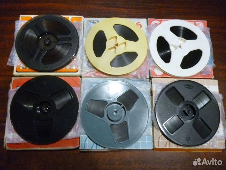 Свема Тасма Славич на цветных катушках 18