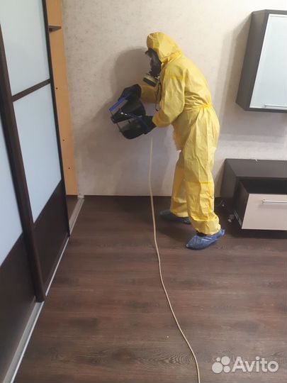 Уничтожение тараканов клопов блох муравьев клещей