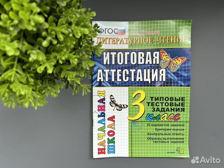 Рабочие тетради 3 класс