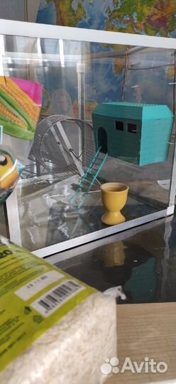 Клетка для грызунов со всеми наполнениями