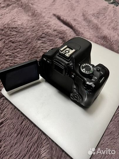 Canon 600d без объектива