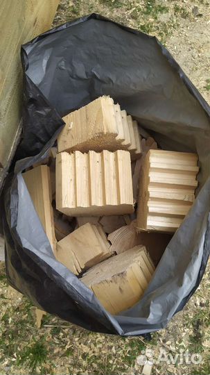 Охота и рыбалка