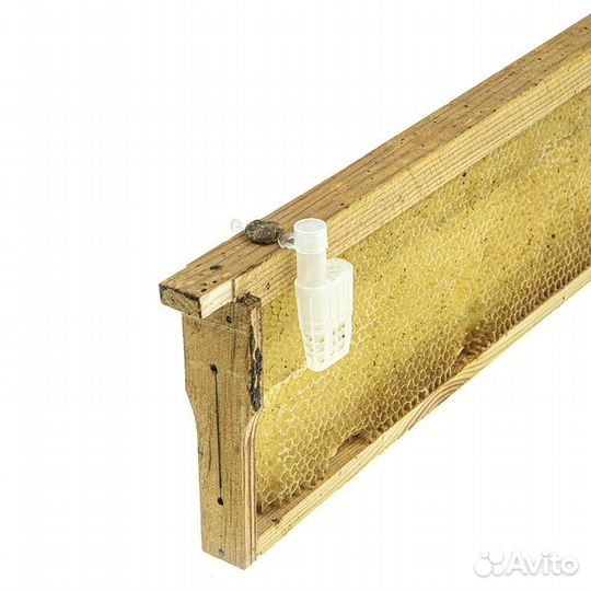 100 шт. Клеточка для подсадки матки (с местом для