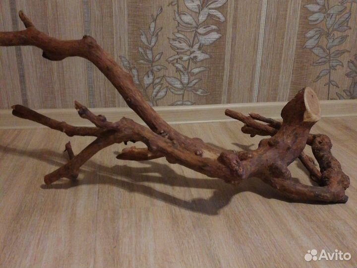 Ветки и палки для декора