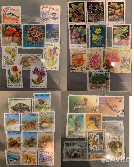 Почтовые марки СССР