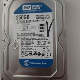 Жесткий диск WD 250 Гб