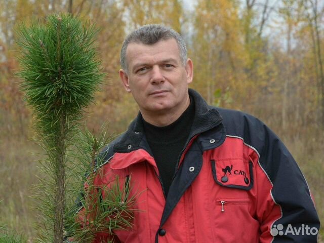 Ремонт холодильников, стиральных машин посудомоек