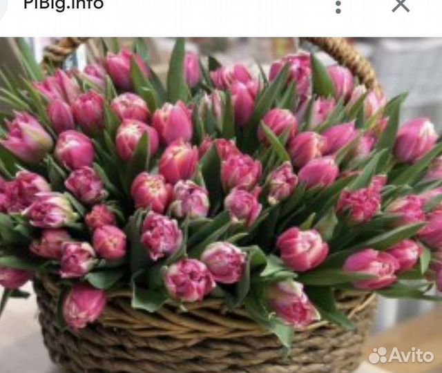 Тюльпаны,цветы,букеты к праздникам с доставкой