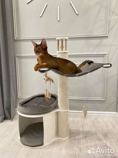 Когтеточка с домиком и гамаком