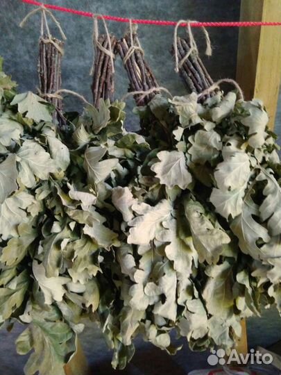 Веники для бани