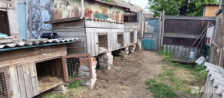 Клетка для домашнего кролика