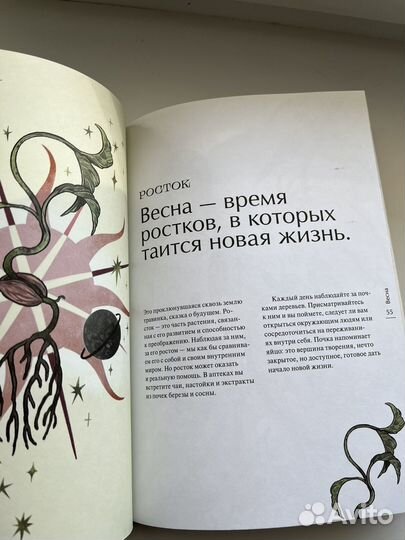 Книга 4 сезона волшебства