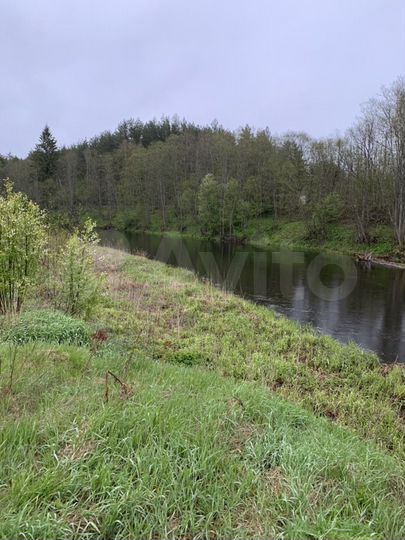 Участок 55 сот. (ИЖС)