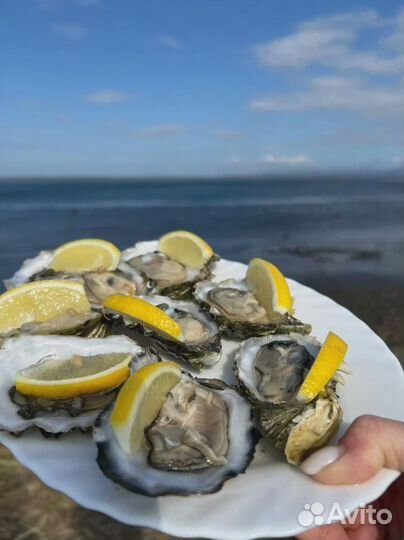 Тур на Южные Курилы: Итуруп и Сахалин