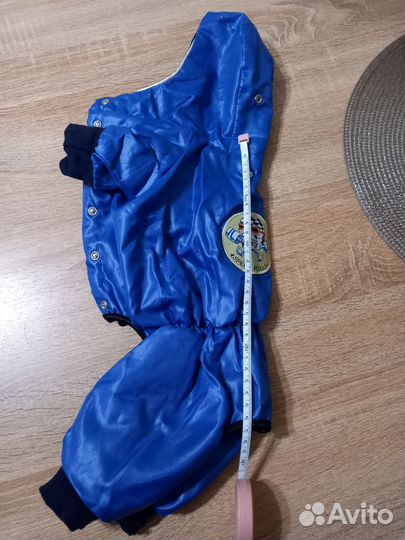 Одежда для собак мелких пород