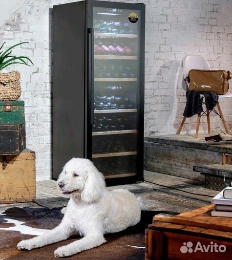 Винный шкаф. Холодильник для вина