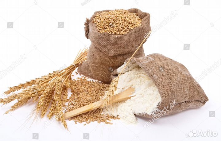 Мука пшеничная оптом от 20 тонн