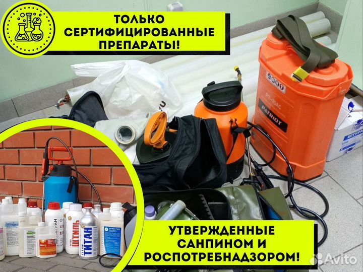 Уничтожение тараканов клопов / Дезинфекция