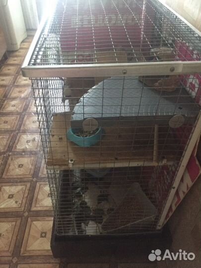 Клетка для шиншилл и крупных грызунов