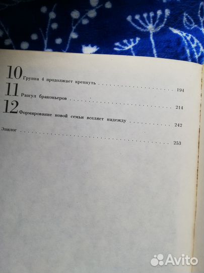 Гориллы в тумане, Дайан Фосси