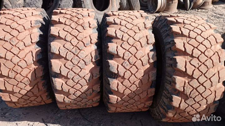 R20 1200-500-508 урал лаптёжник 8шт