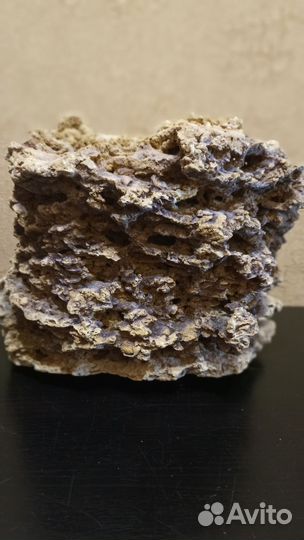 Камень Песчаник пещеристый