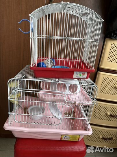Клетка для грызунов
