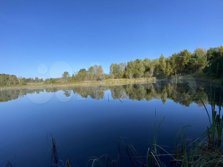 Участок 1,62 га (СНТ, ДНП)