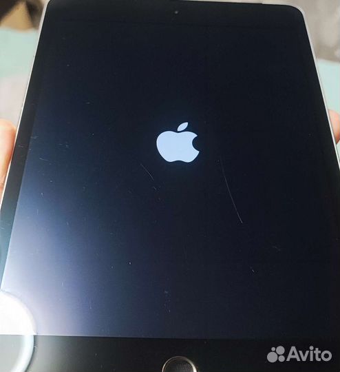 iPad mini 4 128gb cellular