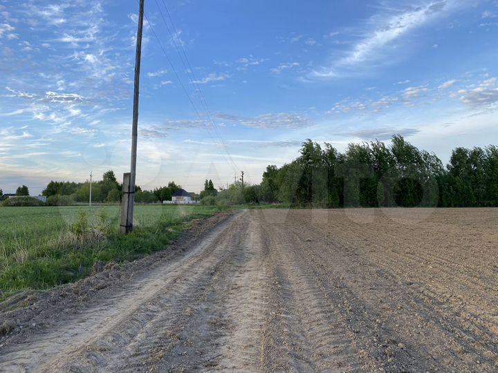 Участок 55 га (СНТ, ДНП)
