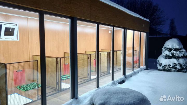 Зоогостиница для собак