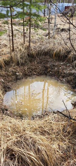 Участок 20 сот. (СНТ, ДНП)