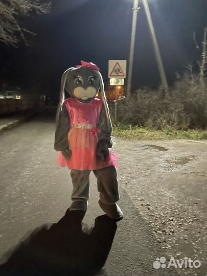 Белый медведь,зайчик,горилла,поздравления