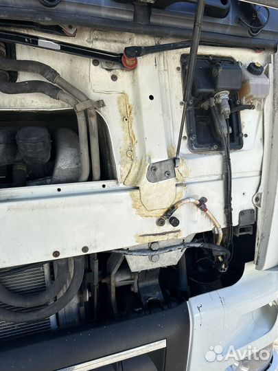 DAF FT XF 105.460 с полуприцепом, 2014