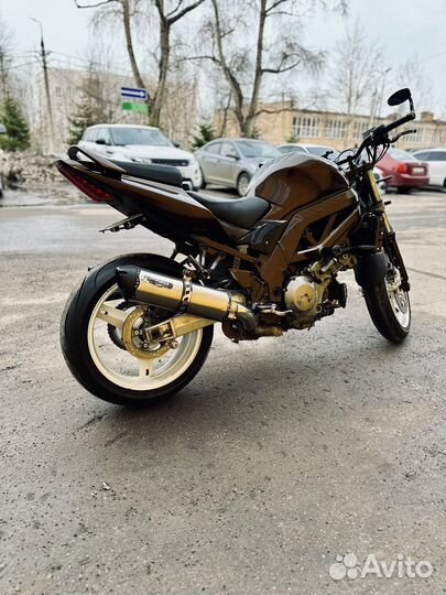 Suzuki SV1000