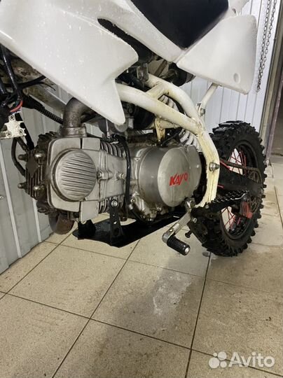 Kayo krz 140сс