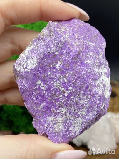 Стихтит коллекционный