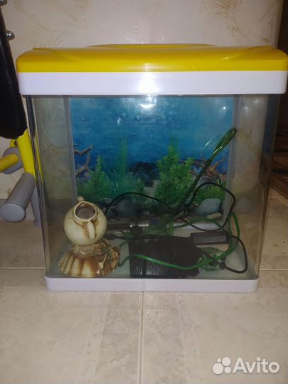 Аквариум 20 л