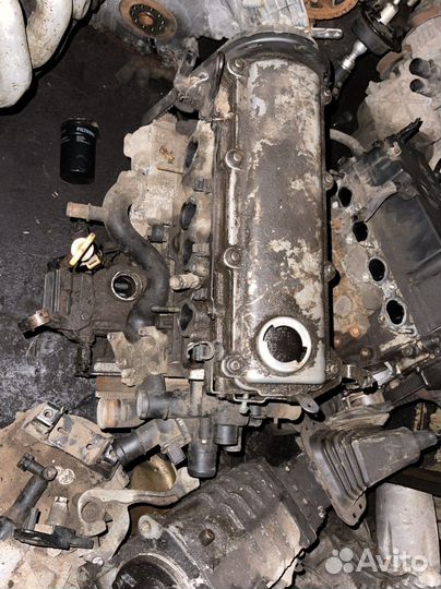 Skoda octavia тур двигатель 1.6л AUU