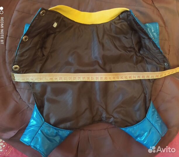 Одежда для маленьких собак