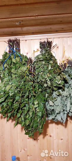 Веники для бани берёзовые,дубовые,пихтовые