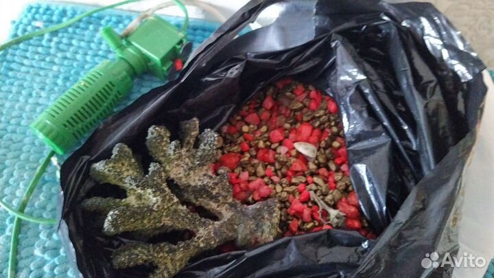 Аквариум угловой