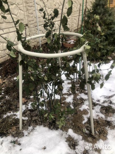 Опора для цветов