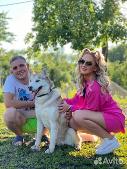 Хаски вязка